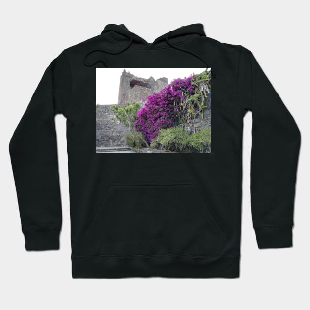 Violet wall flower Hoodie by foxxya